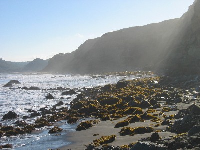 morgensonne morgensonne