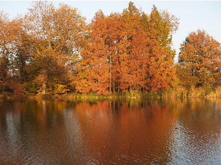wieder See... Bäume rot... Herbst halt